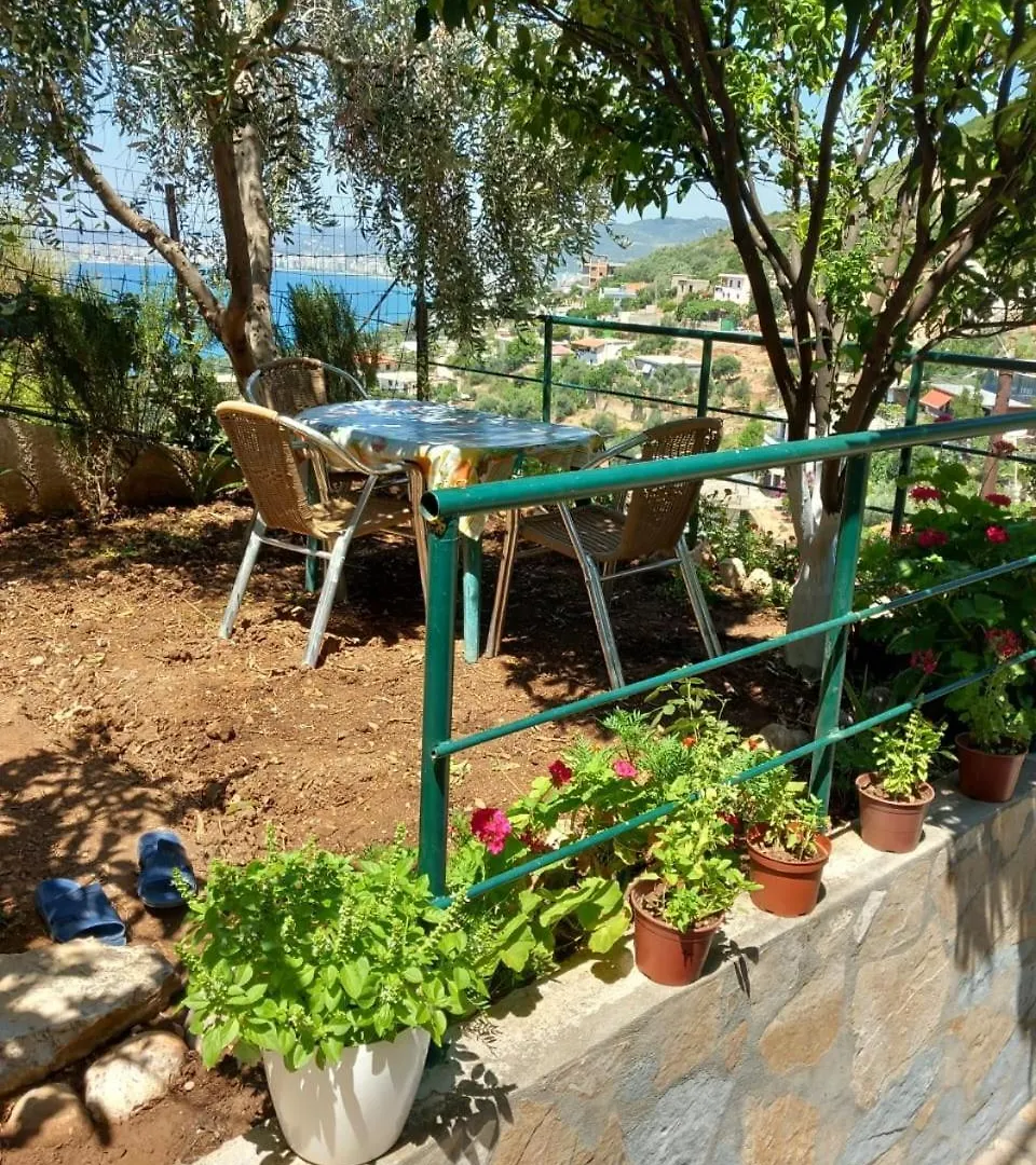 Mesaiz 2 Apartment Vlore